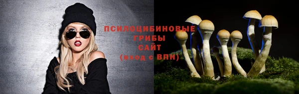 мдпв Баксан